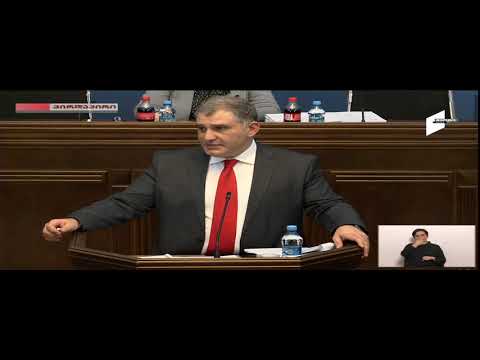 შშმ პირთა უფლებების შესახებ კანონპროექტის განხილვა